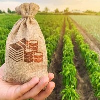 الثروة الزراعية